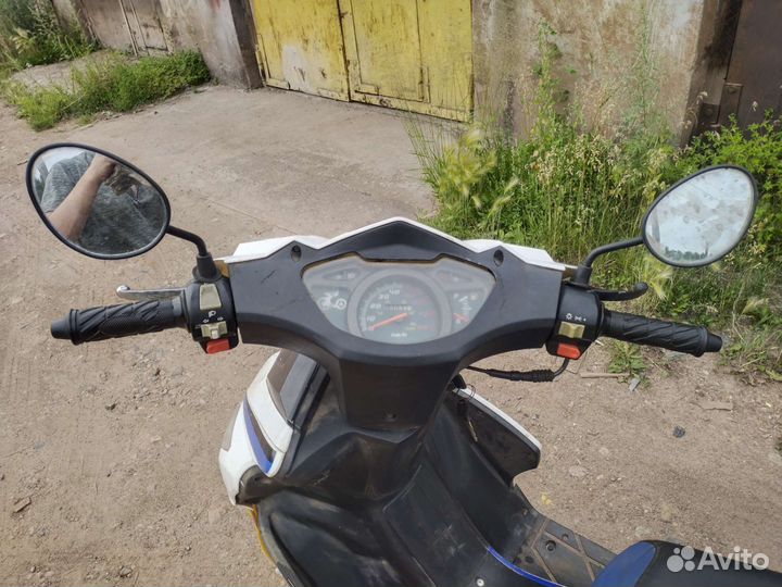 Ирбис