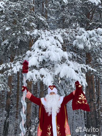 Дед мороз и снегурочка на дом