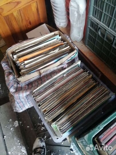 Пластинки для утренников и корпоративов