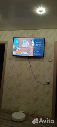 Телевизор дофлер