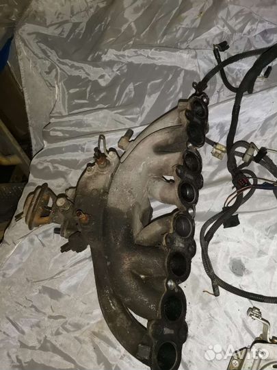 Карбюраторный комплект змз 405 406 409