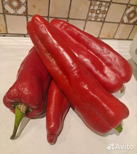 Перец сладкий