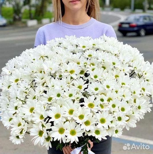 Хризантема. Букеты Цветы доставка