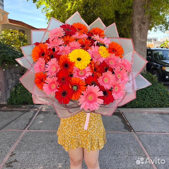 Яркие Герберы. Доставка Свежих Букетов