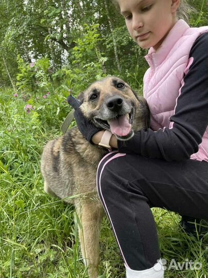 Ласковая девочка