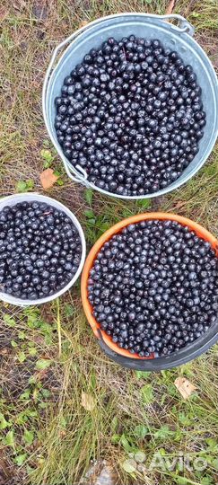 Продукты питания