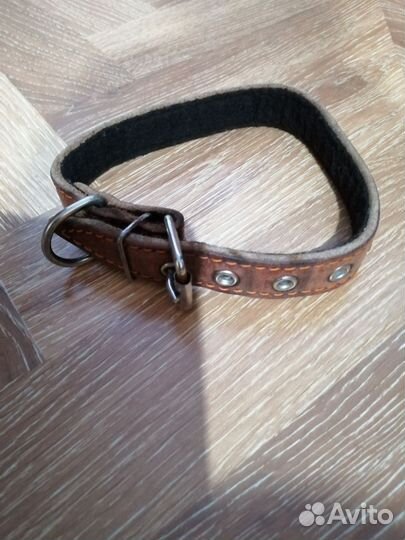 Ошейник для маленькой собаки