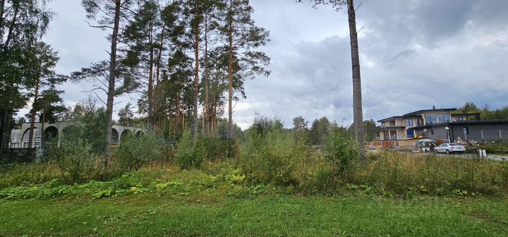 Участок 18,6 сот. (СНТ, ДНП)