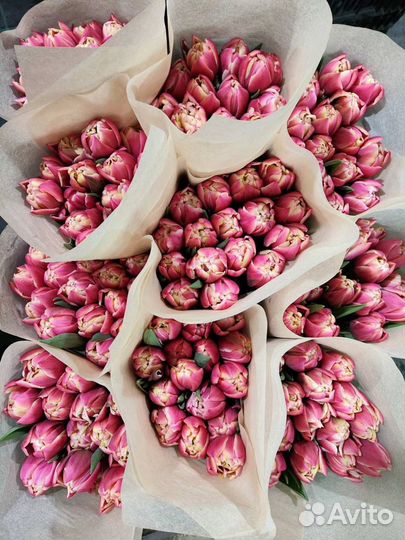 Тюльпаны к 8 марта