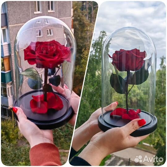 Роза в колбе. Цветы букеты. Подарки. Арт269, от