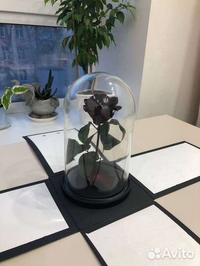 Вечная роза в колбе(в стекле)