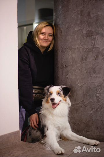 Кинолог. Выездное индивидуальное занятие