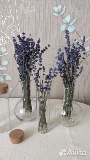 Стеклянная колба