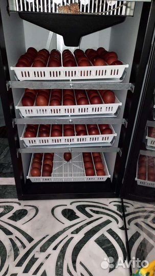 Маран Билефельдер Австролорп