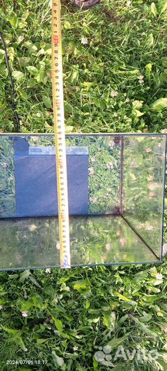 Террариум или аквариум