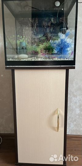 Аквариум 50 литров с тумбой
