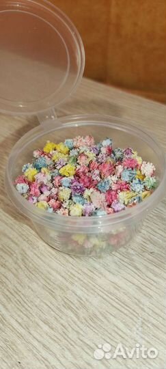 Сухоцветы для творчества