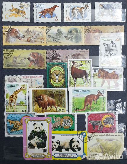 Почтовые марки