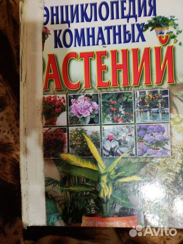 Энциклопедия комнатных растений