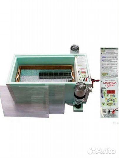Инкубатор Матрица Дели