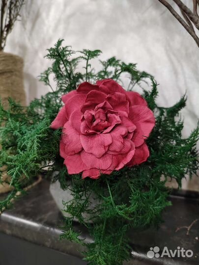 Стабилизированные цветы