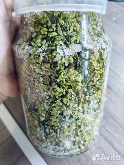 Укроп для засолки,для супов