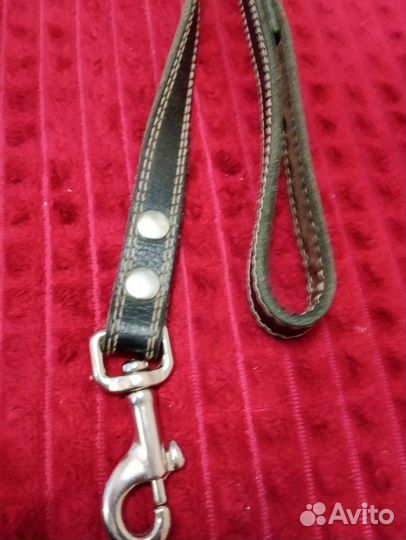 Поводок для собак