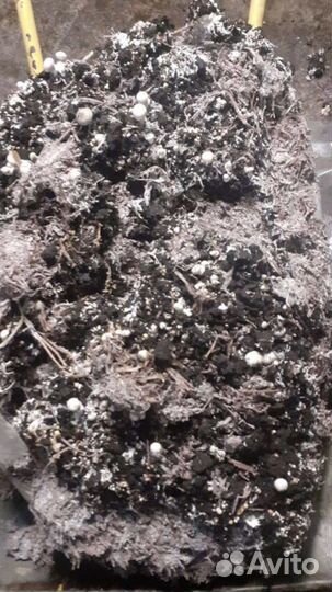 Грибной компост