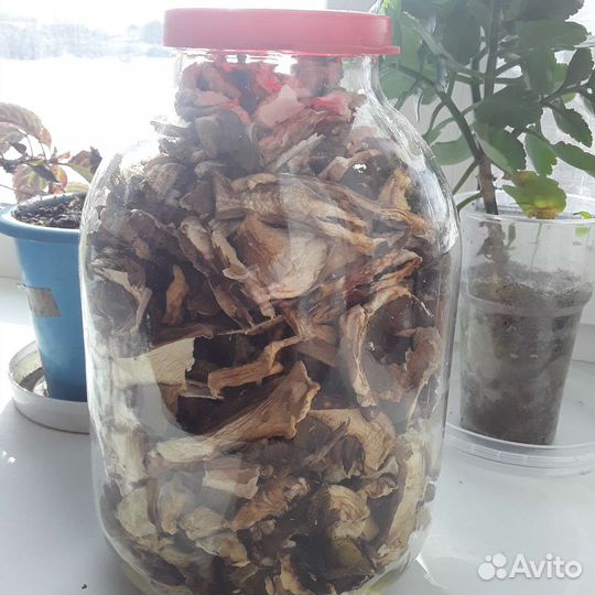 Грибы белые сушеные