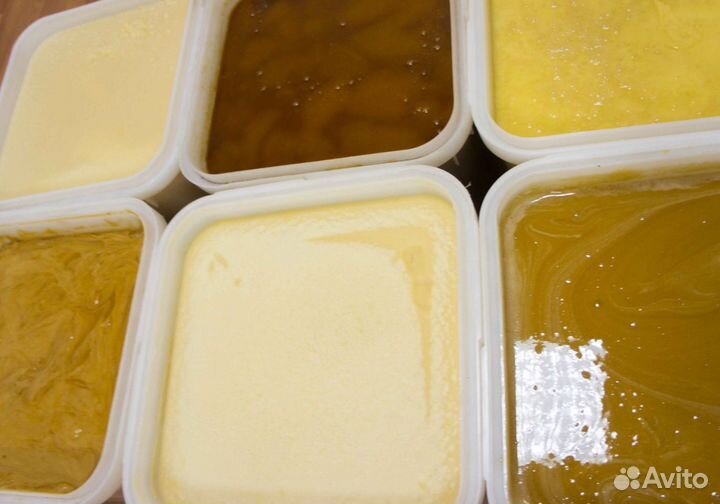 2024 Мед натуральный алтайский опт