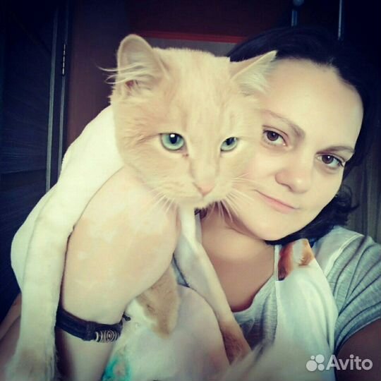 Стрижка кошек, собак. Любой сложности