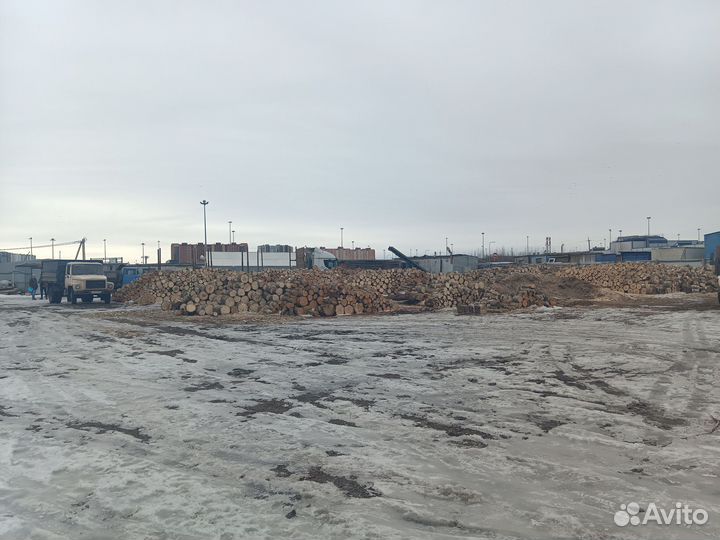 Дрова естественной влажности от 3м3