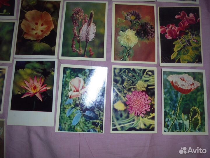 Цветы изд.Правда 1960-1988 гг чистые