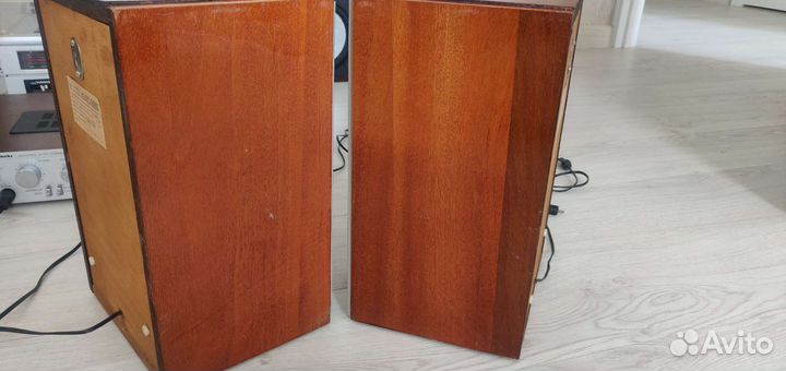 Акустические колонки 10ас-225