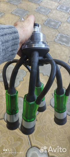 Доильные стаканы в сборе с коллектором