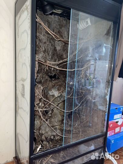 Террариум для хамелеона