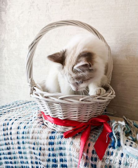 Корзинка для цветов из ротанга