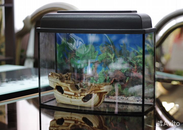 Аквариумы с крышками. Террариумы. Тумбы под аквари