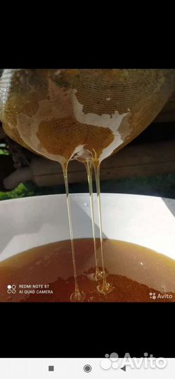 Оптом продам мёд