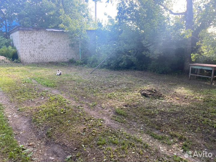 Покос травы триммером