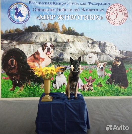 Апортировочные гантели. опт и розница