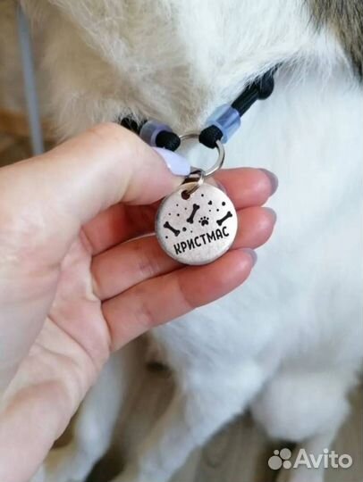 Адресники для кошек