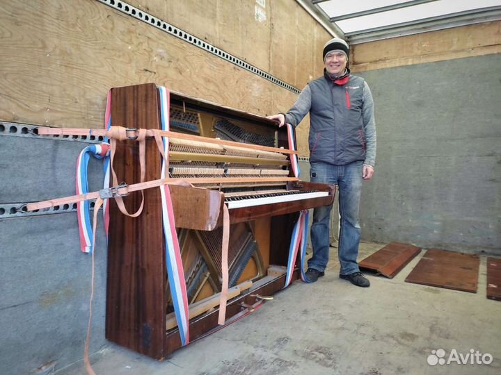 Опытные грузчики