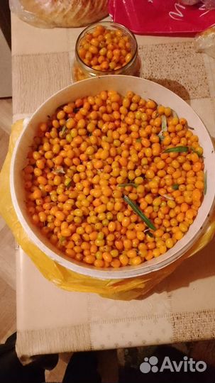 Облепиха свежая