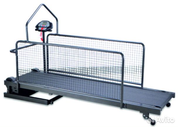 Беговая дорожка для собак