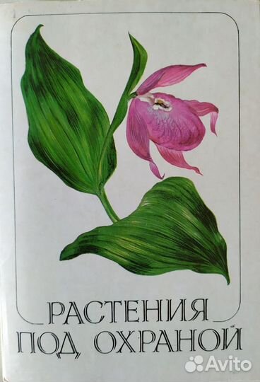 Наборы открыток