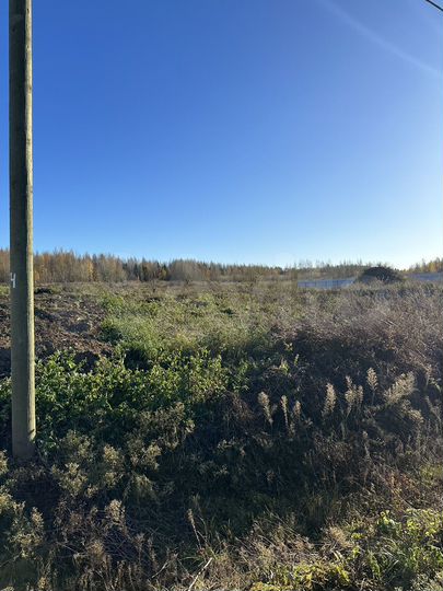 Участок 20,3 сот. (ИЖС)