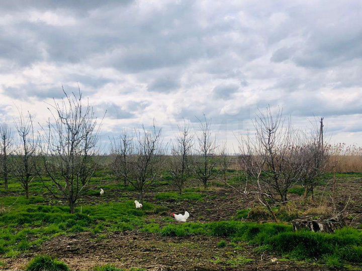 Участок 45,6 сот. (ИЖС)