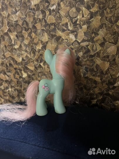 Пони редкая минти