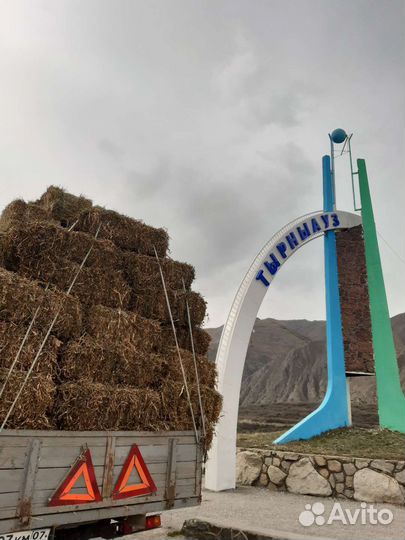 Сено солома горох